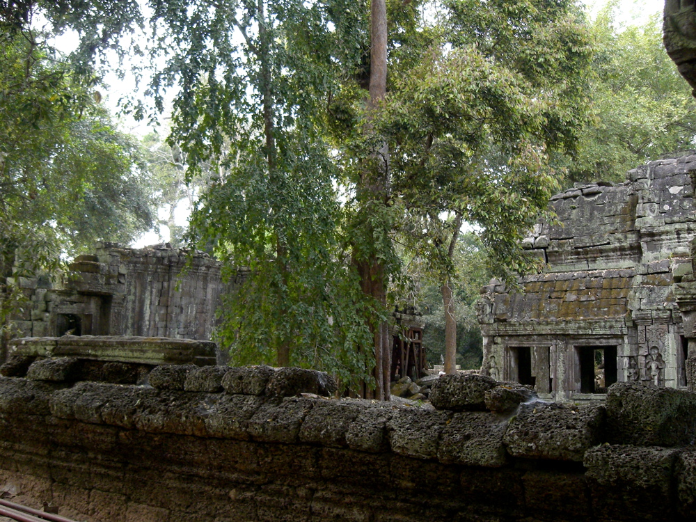 Ta Prohm (XIIc.)