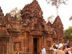Central complex