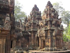 Central complex