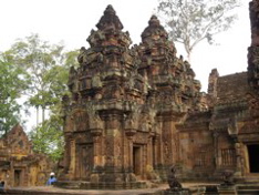 Central complex