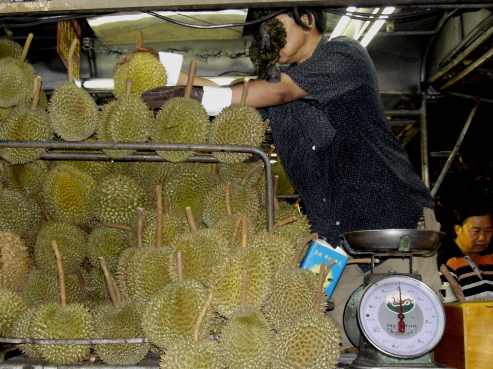 Durian Fruit
