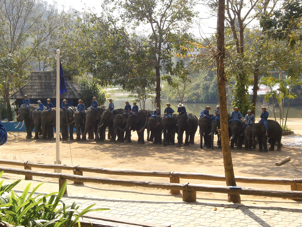 Elephant Conservation Center