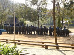 Elephant Conservation Center