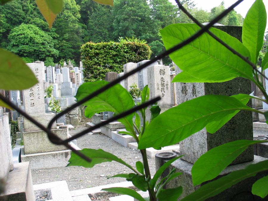 a cemetery