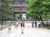 Gosia in Nara