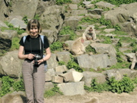 More Monkeys