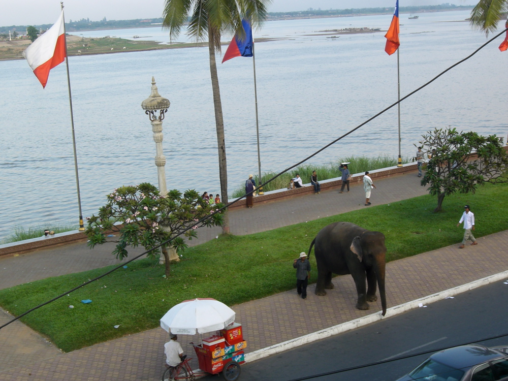Boulvard on Tonle Sap