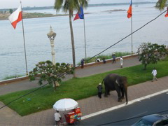 Boulvard on Tonle Sap