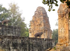 Bakong